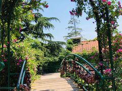 景点-信号山公园