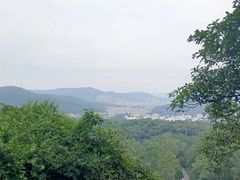 -火炉山森林公园