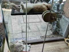 -派联宠物医院·24h·CT·异宠