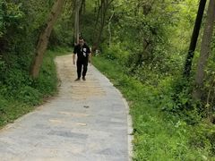-青龙山国家森林公园