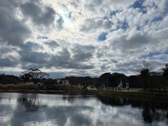 -济州森林小火车生态公园