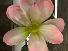 -徽镇小厨·经典徽菜(十里河店)