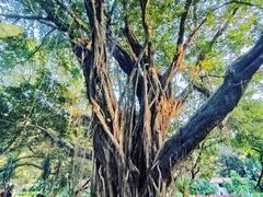 -晓港公园