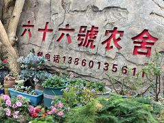 -杨厝六十六农庄农舍(杨厝路店)