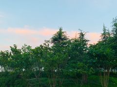 -樱桃沟景区