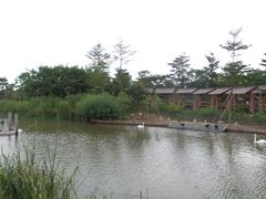 -大湾区中央湿地公园