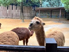 -杭州野生动物世界