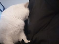 -青柠影咖·私人影院(龙泉店)