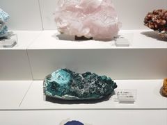 -重庆自然博物馆(新馆)