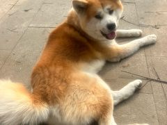 -中粮·祥云小镇