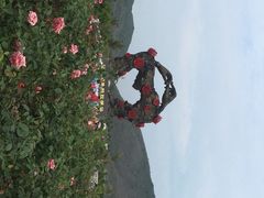 -亚龙湾国际玫瑰谷