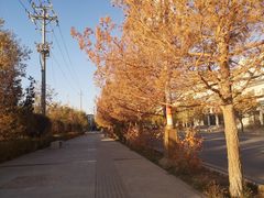 -敦煌市博物馆