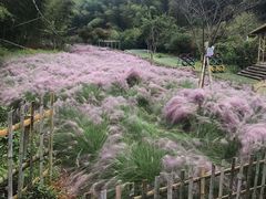 -宁波浙东大竹海景区
