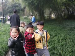 -龙头寺公园