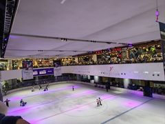 -TheRink大零溜冰场(IFS国金中心店)