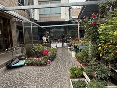 -曲阳花鸟市场(曲阳路店)