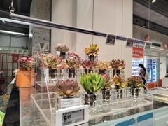-盒马鲜生(皇庭广场店)