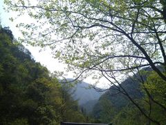 -天目山-昭明禅寺