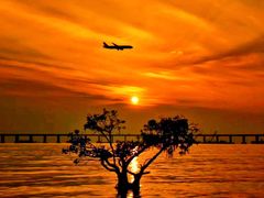 -宝安西湾红树林湿地公园