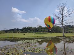-中国科学院西双版纳热带植物园