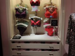 -Victoria's Secret(苏州中心全品类店)