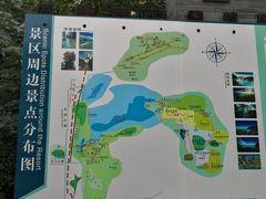 -溱湖国家湿地公园