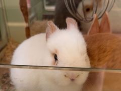 -龙猫仔乐园(惠福东路店)