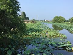 -陶辛水韵