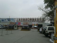 -上海龙吴水胜海发市场