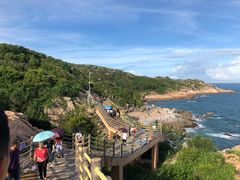 -广东惠东海龟国家级自然保护区