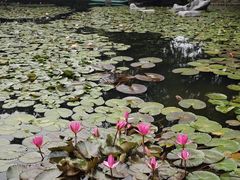 -南山植物园