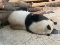 -南宁市动物园
