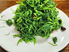 -普集烧鸡(新店)
