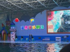 -蓬莱欧乐堡海洋极地世界