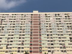 -彩虹村