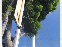 -新加坡摩天观景轮