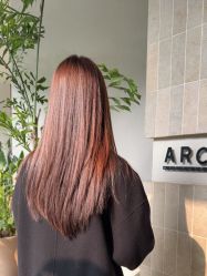 -ARC弧线沙龙