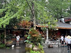 -青城甲(青城山店)