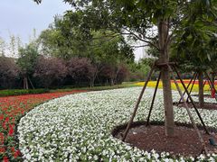 -上海市龙华烈士陵园