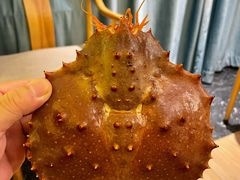 -尚海豆捞(乐虹坊店)