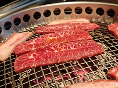 -300杯·和牛烧肉清酒专门店(廊里店)