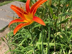 -苏州河梦清园环保主题公园