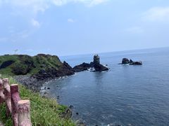 -涉地可支