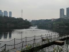 -重庆彩云湖湿地公园