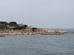 -中华人民共和国水准零点