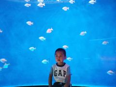 -沈阳海洋探索中心