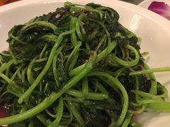 -新聚丰菜馆(太监弄店)