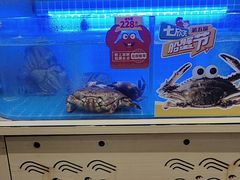 -七欣天香辣蟹火锅(南京桥北太平店)