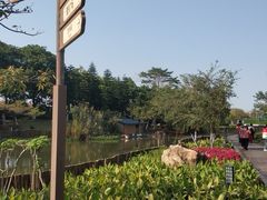 -映月湖公园