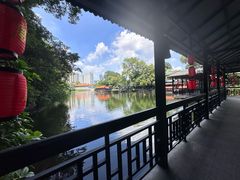 -侨美·唐荔园·40年地道粤菜